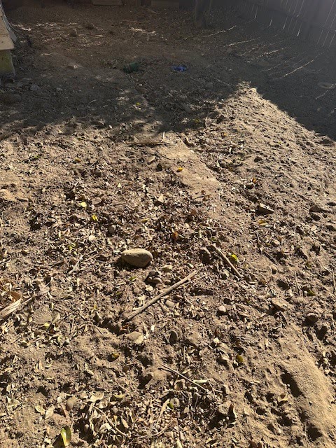 Backyard cleared to bare dirt after concrete demolition in Pasadena