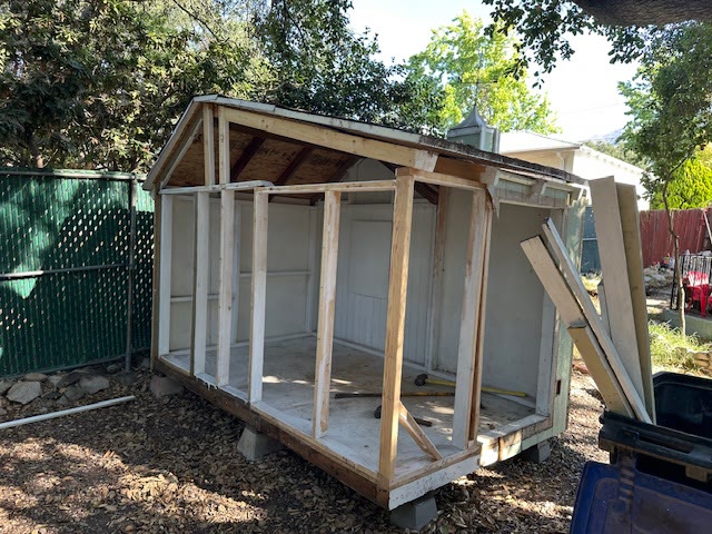 Backyard shed stripped to framing during shed demolition